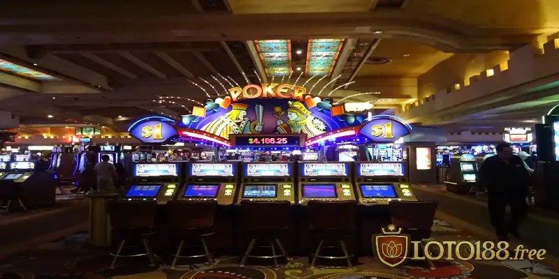 Người chơi nên nắm rõ một số điều kiện cơ bản từ nhà cái